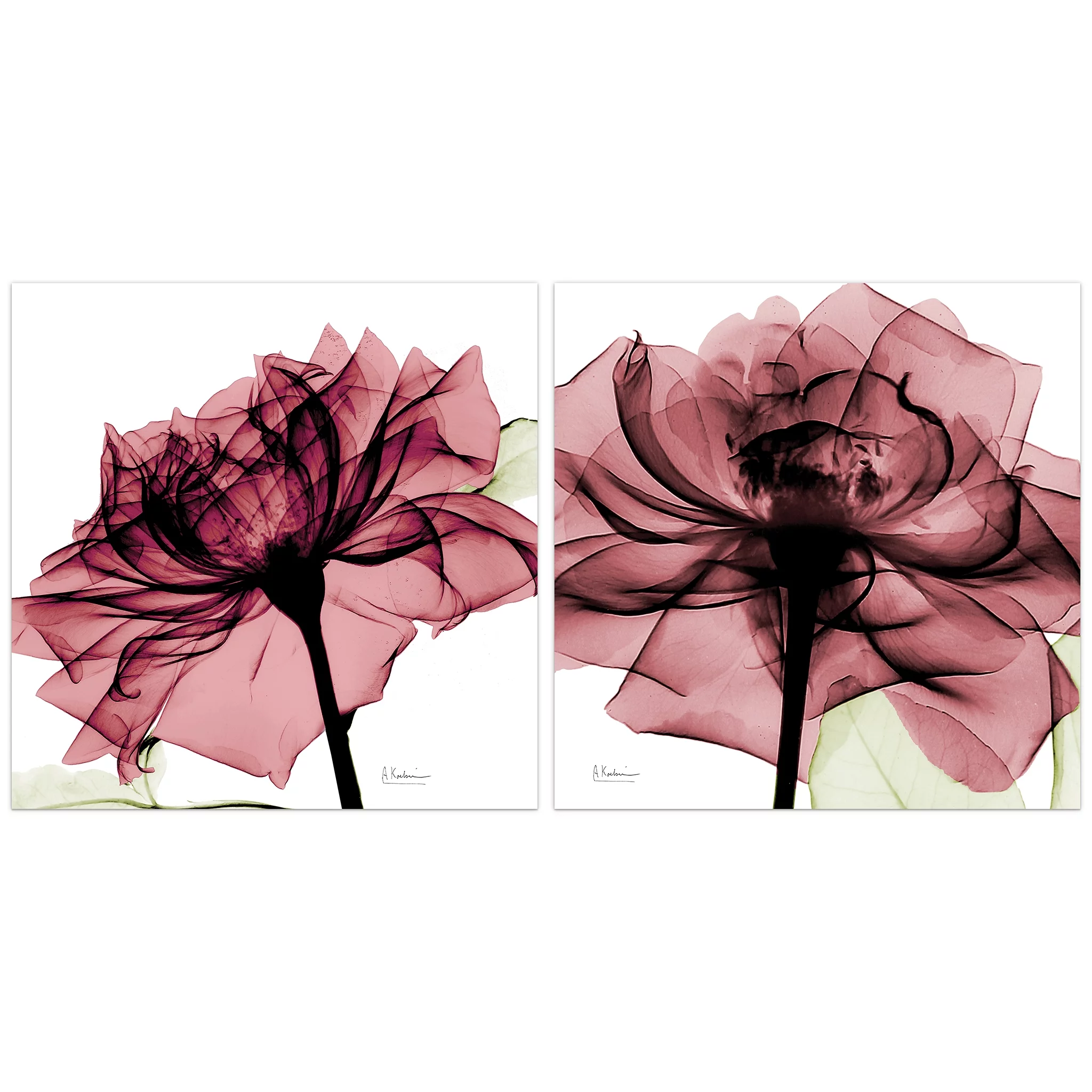 Empire Art Direct Chianti Rose I & II Frameless Free Floating Tempered Glass Panel Graphic Wall Art, 24