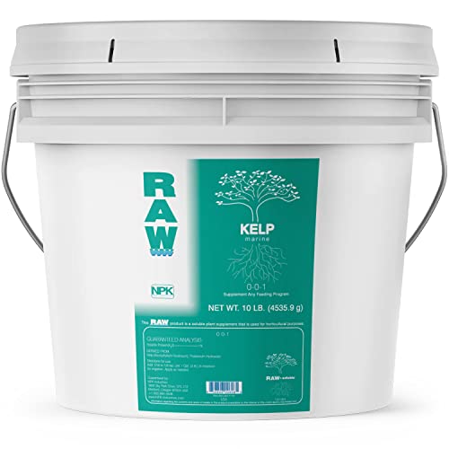 RAW Kelp 2oz - Biostimulant That is Rich in Organic Plant Hormones for Enhanced Growth - Indoor, Outdoor, Hydroponic Use