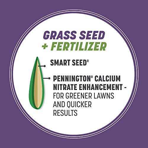 Pennington Smart Seed Dense Shade Grass Mix Bag 7 lb