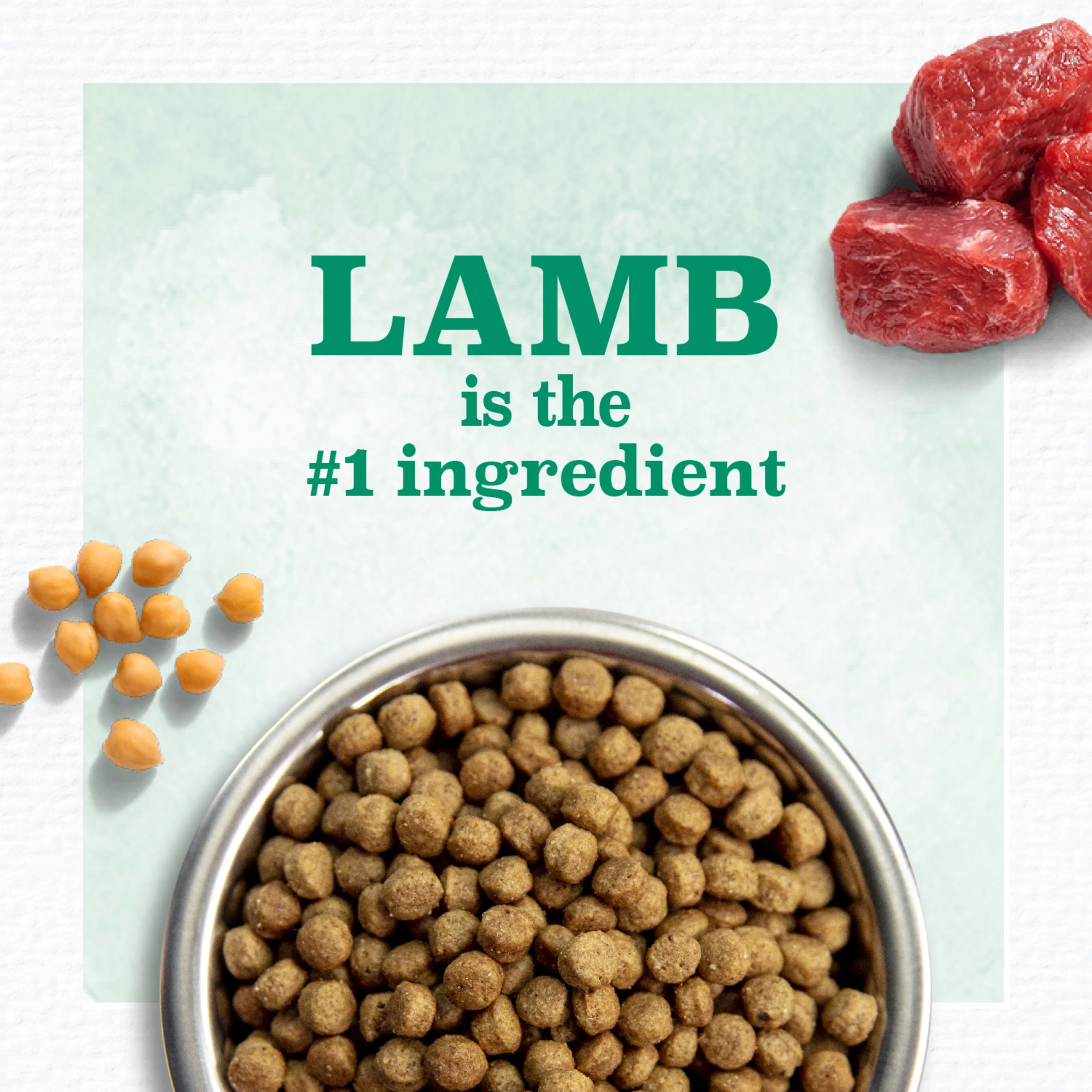 Nutro Limited Ingredient Diet Small Bites Adult Dry Dog Food, Lamb & Sweet Potato, 22 Lb. Bag