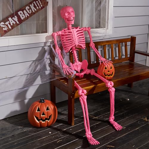JOYIN 5.6 FT Halloween Posable Life Size Skeleton, Full Body Realistic Bones with Movable Joints, Giant Skeletons Halloween Decorations for Indoor Outdoor Haunted House Props, Spooky Scene Party Decor