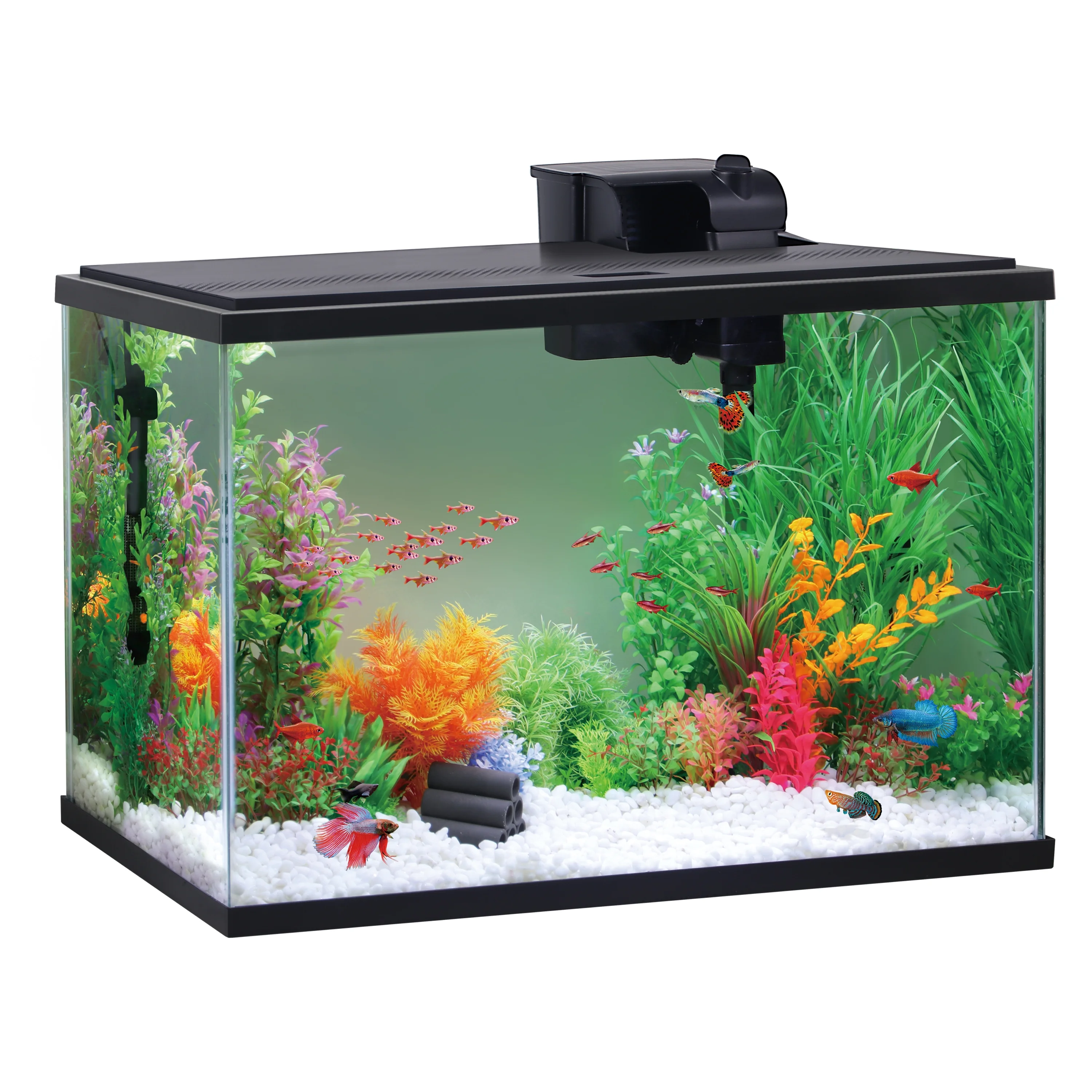 Aqua Culture Glass 29 Gallon Aquarium Starter Kit, Black, 30.2''L x 12.44''W x 21.18''H