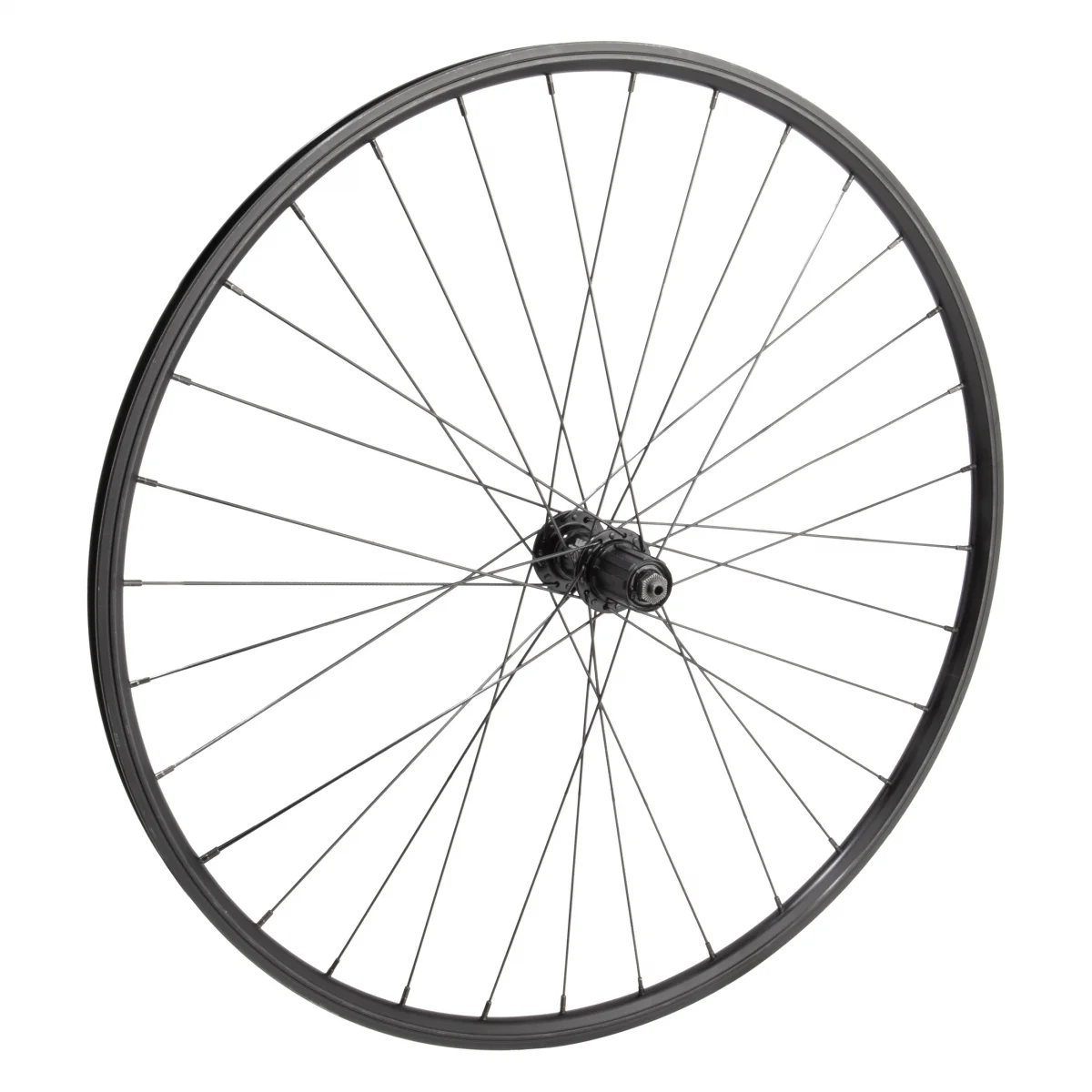 Wheel Master 700C/29in Alloy Hybrid/Comfort Double Wall 700C RR WTB DX17 RIM