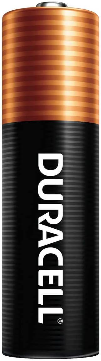 Duracell Coppertop Alkaline AA Batteries, 40-count, BROWN