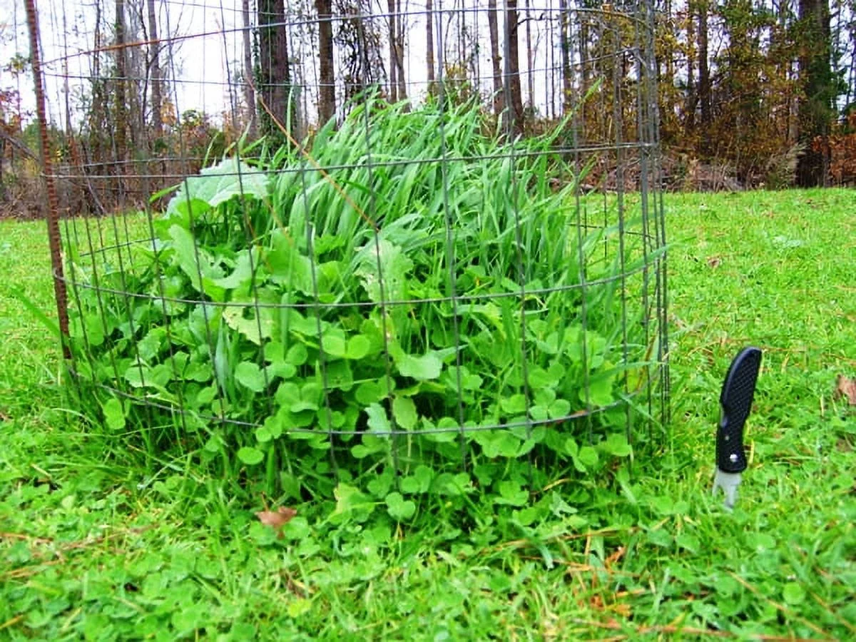 Pennington Rackmaster Feeding Frenzy Food Plot Seed Mixture 25 lb, Wildlife Deer Attractant