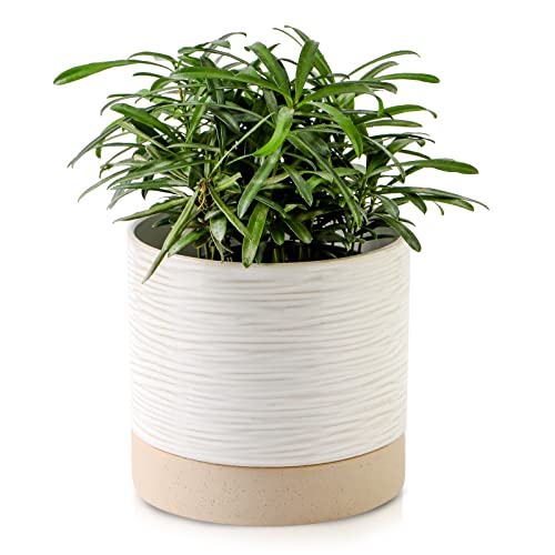 Nihow Self Watering Plant Pot: 6 Inch Ceramic Planter with Drainage Hole & Water Storage Plus for Indoor & Outdoor Plants - Cylinder Round Flower Pot for Succulent/Herbs/Violets - White & Black