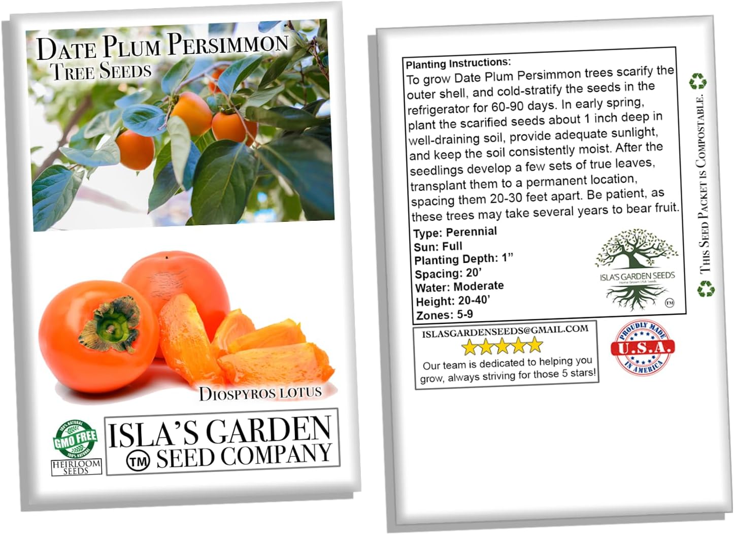 Date Plum Persimmon Fruit Tree, 30+ Tree Seeds, Exotic & Rare, 80% Germination, (Isla's Garden Seeds), Non GMO & Heirloom Seeds, Scientific Name: Diospyros Lotus
