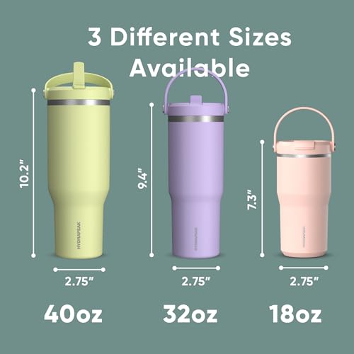 Hydrapeak Nomad 24 oz Tumbler with Handle and Straw Lid, Leakproof, Double Insulated, 24oz Cup Stainless Steel (Blush)