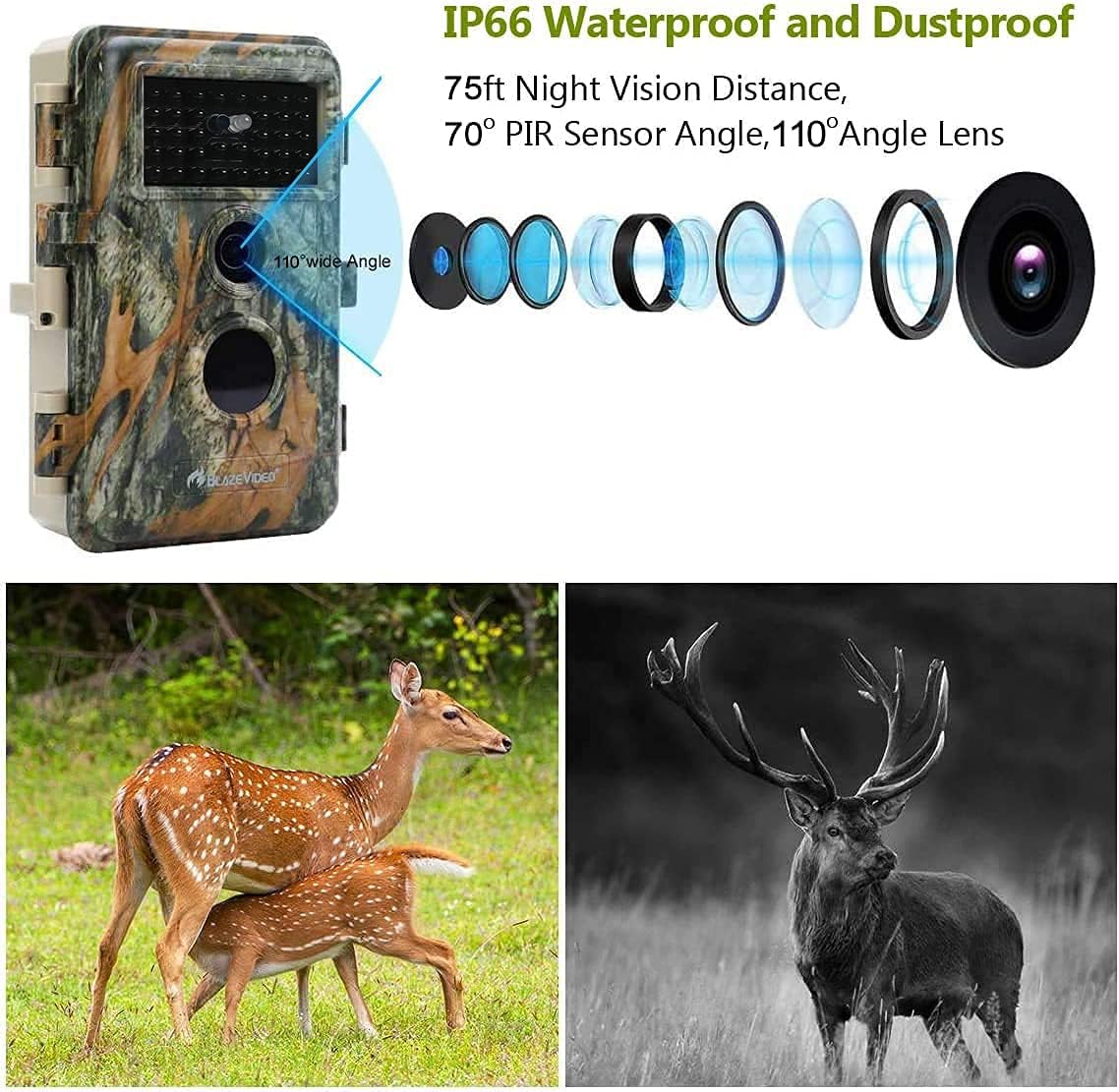 2-Pack Outdoor Camo No Glow Game & Deer Trail Cameras Night Vision 24MP 1296P MP4 Video for Hunting Wildlife & Home Surveillance Motion Activated Waterproof Field & Backyard Camera Photo & Video Model