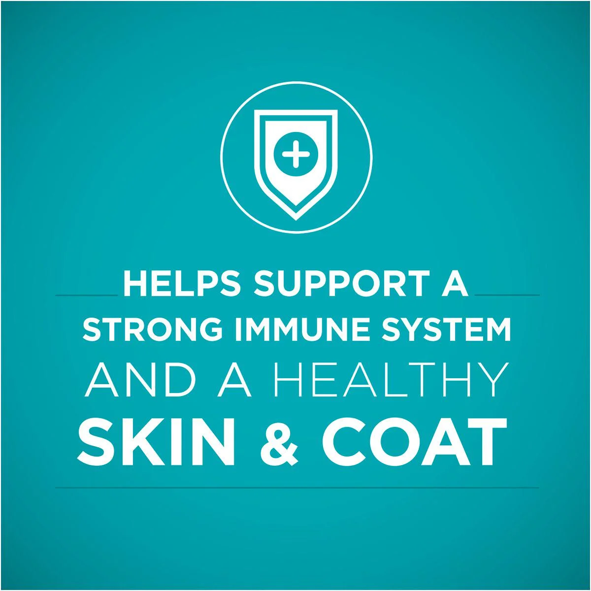 Purina ONE Tender Selects Adult Salmon Blend Recipe Dry Cat Food, 7 lb. Bag