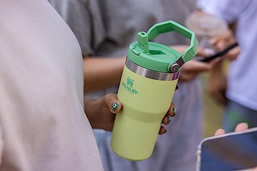 Stanley IceFlow Flip Straw Tumbler with Handle 30 oz | Twist On Lid and Flip Up Straw | Leak Resistant Water Bottle | Insulated Stainless Steel |BPA-Free | Lilac