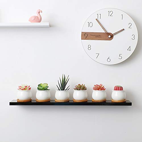T4U Mini Succulent Pots White with Bamboo Trays - Ceramic Succulent Planters Indoor Jars with Drainage -Small Plant Cactus Holder Container Set of 6 - Home Office Desk Decoration Gift for Gardener