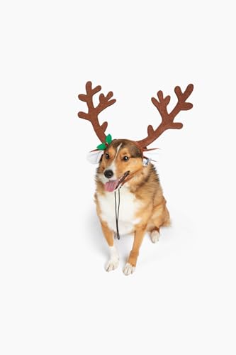 Midlee Brown Reindeer Dog Antlers Headband Pet Christmas Costume - Large