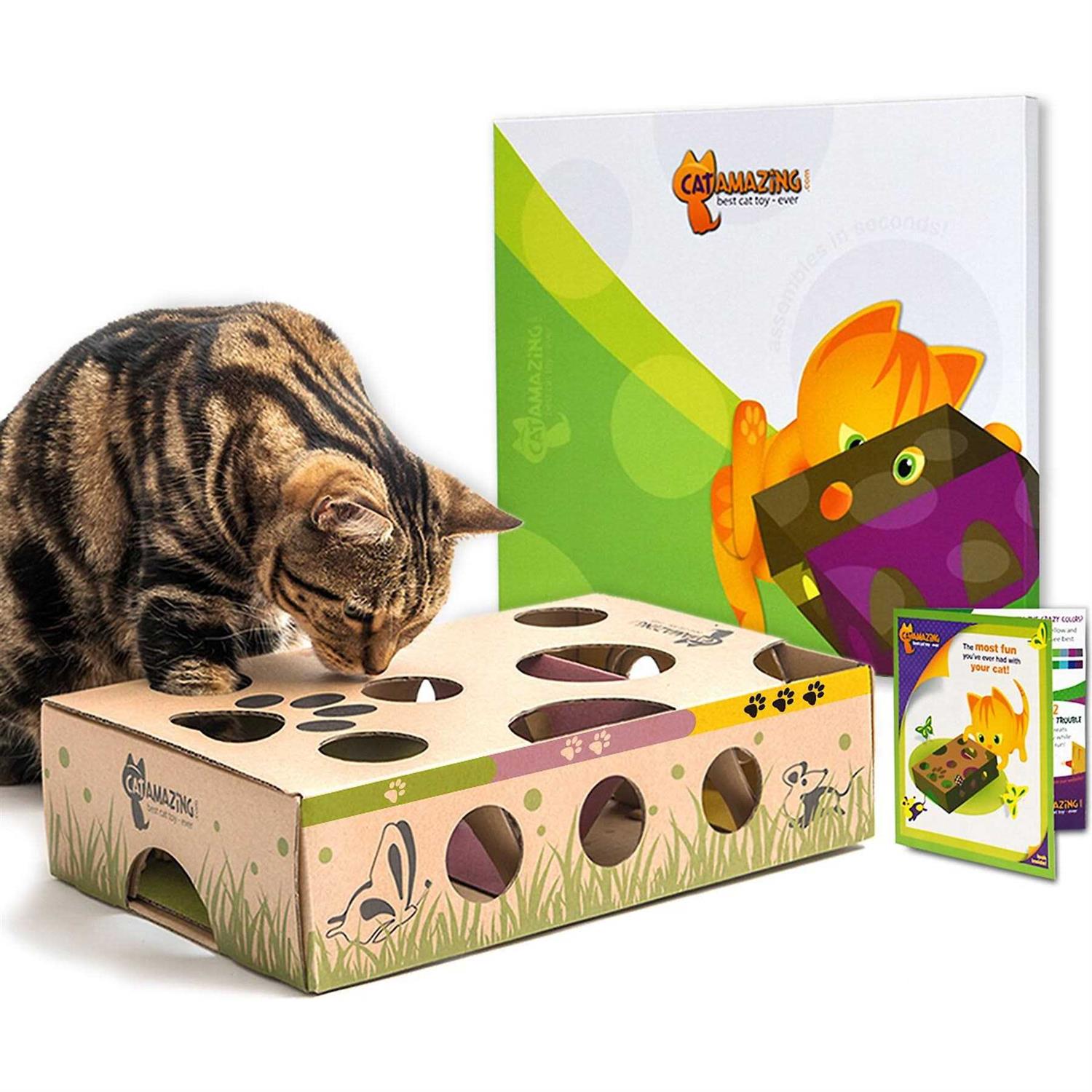 Cat Amazing Best Cat Toy Ever! Interactive Treat Maze & Puzzle Feeder for Cats - Pet Supplies online store