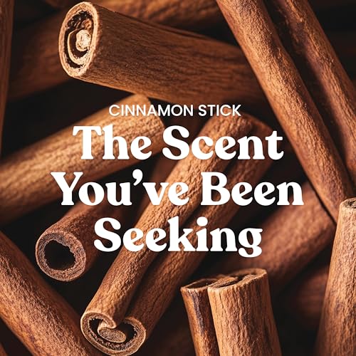 Yankee Candle Sparkling Cinnamon, Christmas Scented Candle, 22oz Large Jar with up to 150 Hour Burn Time, Giftable