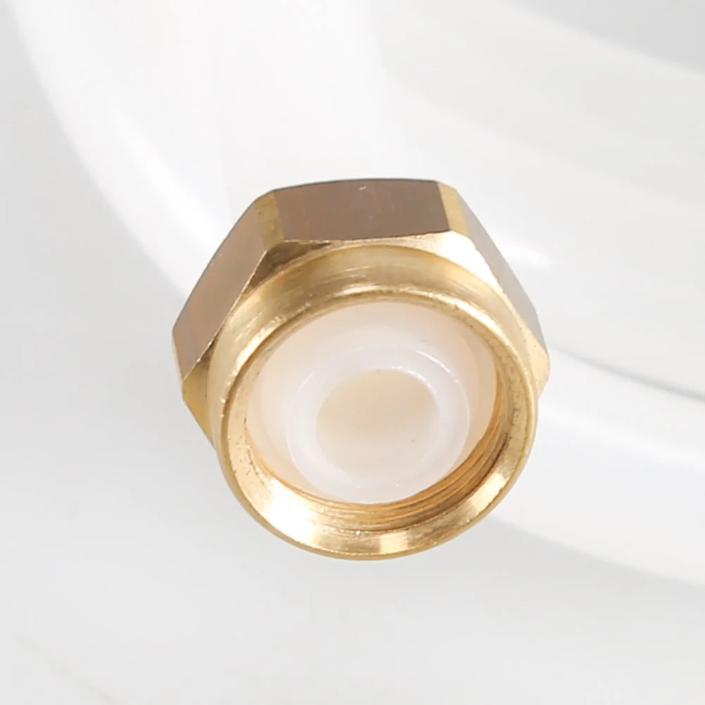 525970 FISHER PAYKEL HOSE INLET WIRSBO US OEM 525970