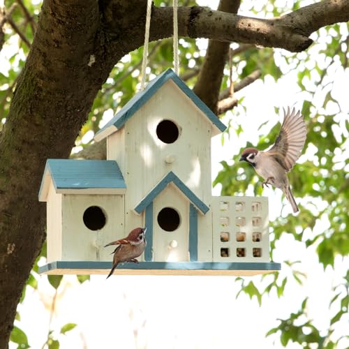 Birdhouse Premium Bluebird Houses for Outside Attract Beautiful Birds to Your Garden and Yard Durable Outdoor Birdhouses 3 Hole Bird Houses for Outside Hanging