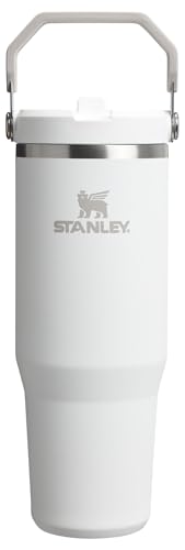 Stanley IceFlow Flip Straw Tumbler with Handle 30 oz | Twist On Lid and Flip Up Straw | Leak Resistant Water Bottle | Insulated Stainless Steel |BPA-Free | Lilac