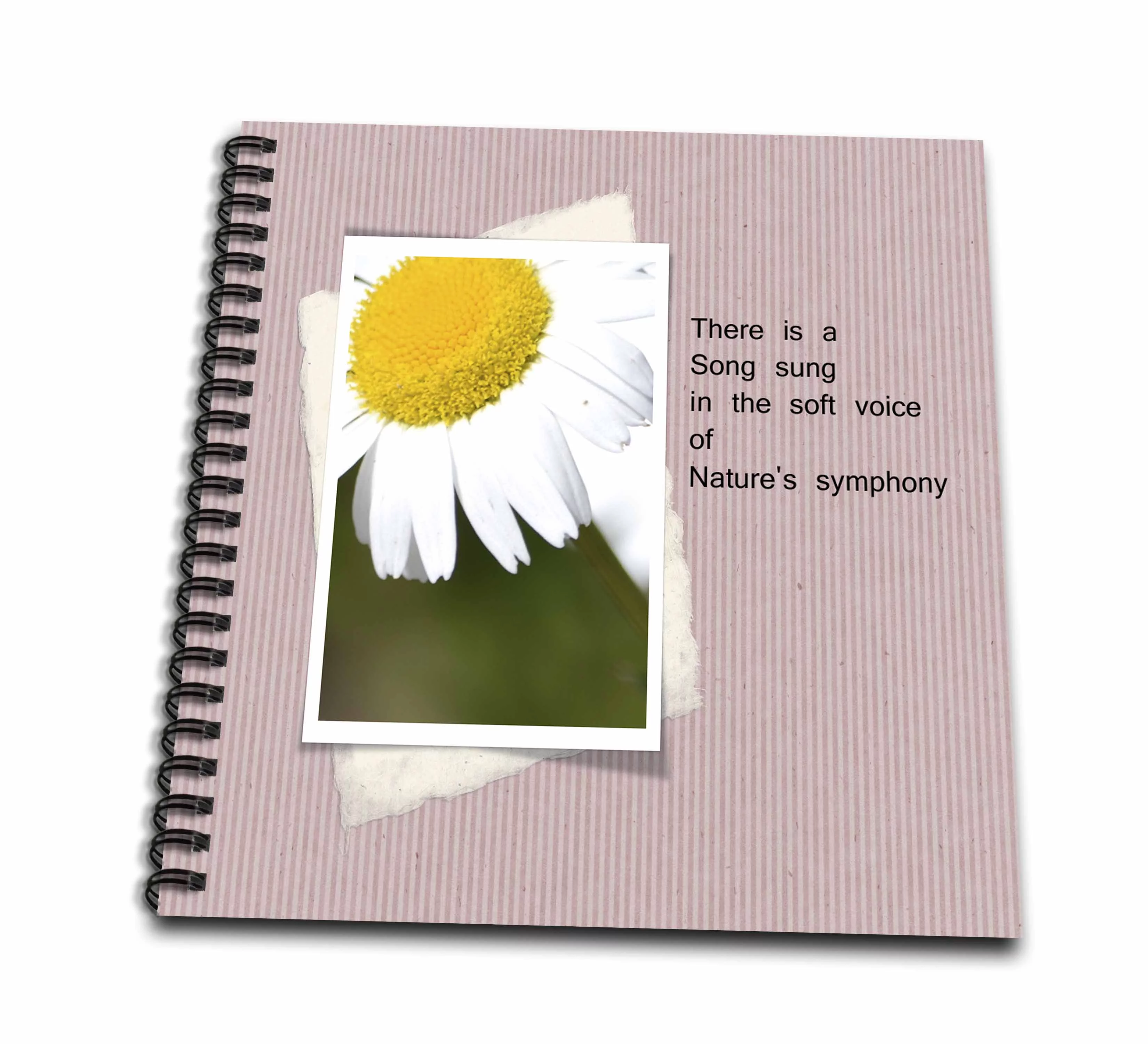 3dRose Natures Symphony Poetic Daisy Flower - Inspired Floral - Poetry by P Sanders - Drawing Book, 8 by 8-inch
