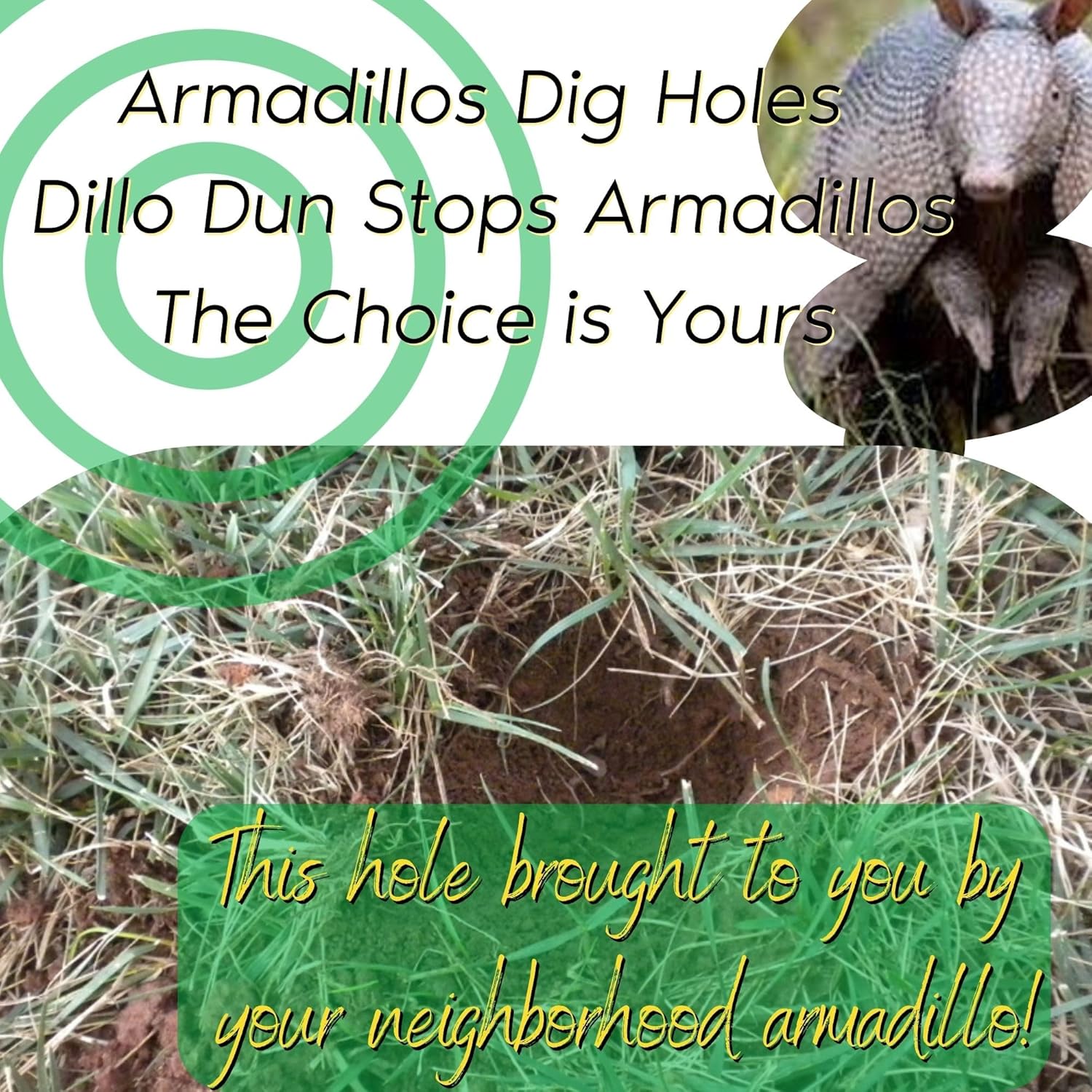 Zone Protects Dillo Dun! Armadillo Repellent Spray. Stop Armadillos from Digging in Your Yard, Gardens and Flower Beds. Natural Armadillo Repellent Liquid Spray