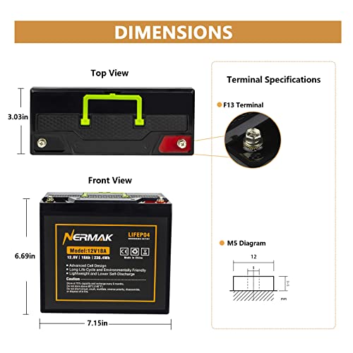 2 Pack 12V 10Ah Lithium Ion LiFePO4 Deep Cycle Battery, 2000+ Cycles Rechargeable Battery for Solar/Wind Power, UPS, Scooters, Lighting, Power Wheels, Fish Finder Built-in 10A BMS