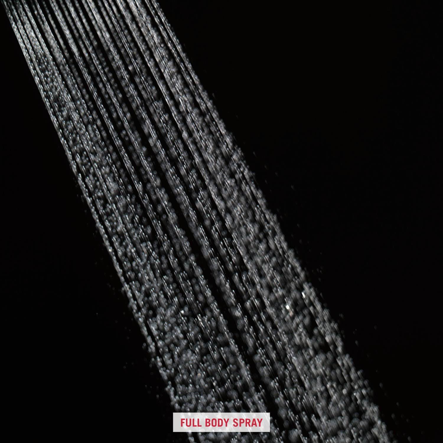 Delta RP52382PB Raincan Single-Setting Shower Head Polished Brass