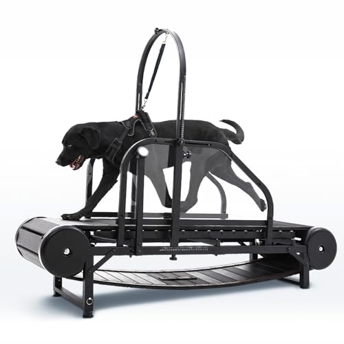 New Dog Treadmill for 2025, Non-Electric Treadmill for Dogs with Step Counter, Adjustable Incline & Brake, Dog Treadmills Suitable for Indoor and Outdoor, Supports Up to 300 lbs
