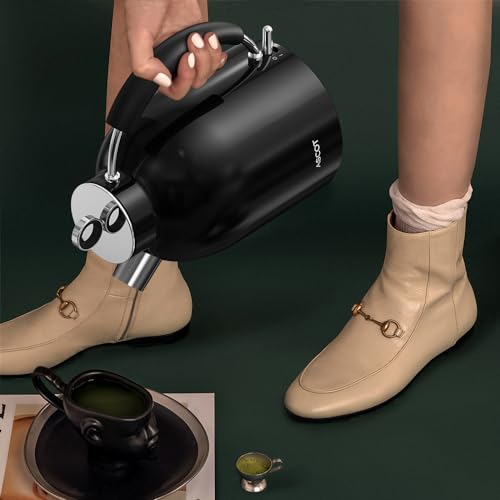 ASCOT Electric Kettle, Electric Tea Kettle Hot Water Kettle Stainless Steel Kettle 1.5L 1500W Tea Heater & Boiling Water, Auto Shut-Off and Boil-Dry Protection (Polished Silver)