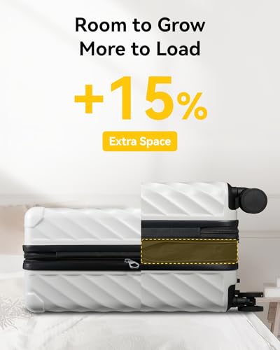 LUGGEX Luggage with Spinner Wheels, Polycarbonate Expandable Hard Shell Suitcase, Carry On 20 Inch, Charcoal Metallic