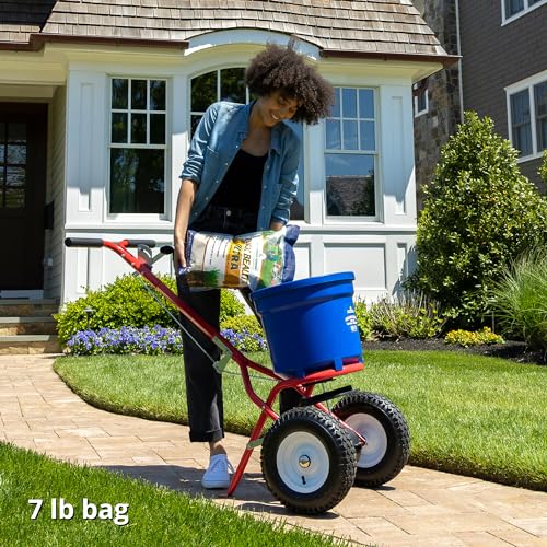 Jonathan Green (10323) Black Beauty Ultra Grass Seed - Cool Season Lawn Seed (25 lb)