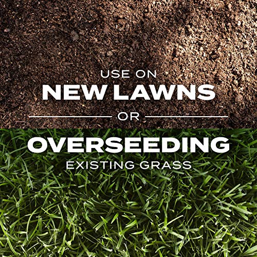 Scotts Turf Builder Rapid Grass Sun and Shade Mix, Combination Grass Seed and Fertilizer, Grows Green Grass in Just Weeks, 16 lbs.