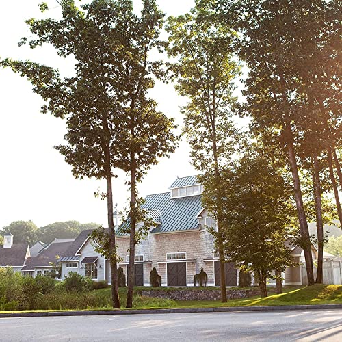 Village Candle Apples & Cinnamon Large Apothecary Jar, Scented Candle, 21.25 oz.