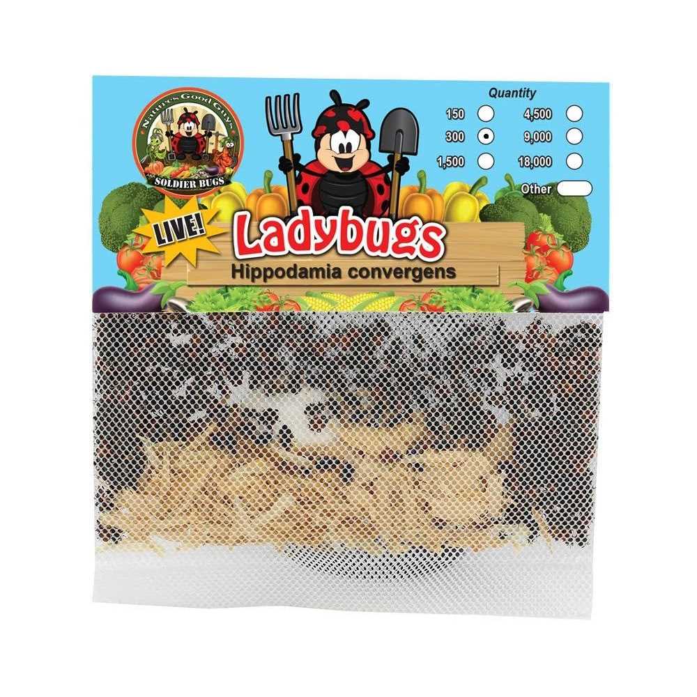 300 Live Ladybugs Good Bugs - Pet Supplies online store