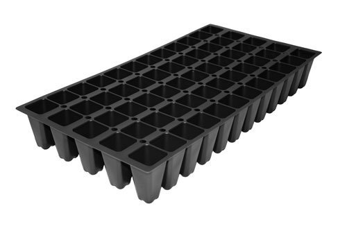 Dwarf Mondo Grass - 10 Live Plants - Shade Loving Evergreen Ground Cover Ophiopogon Japonicus Nanus