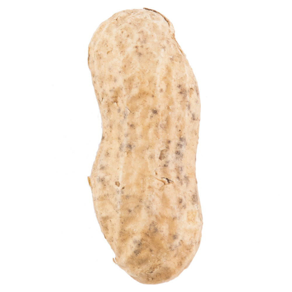 Hampton Farms 25 lb. Roasted Unsalted In-Shell Peanuts