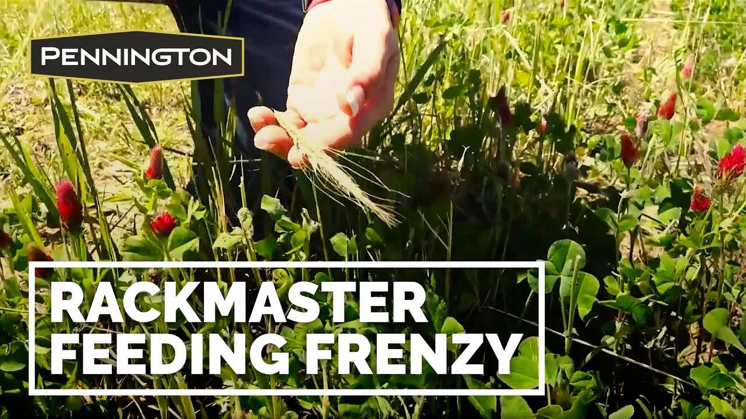 Pennington Rackmaster Feeding Frenzy Food Plot Seed Mixture 25 lb, Wildlife Deer Attractant