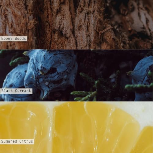 ILLUME Vanity Tin Candle, Balsam & Cedar