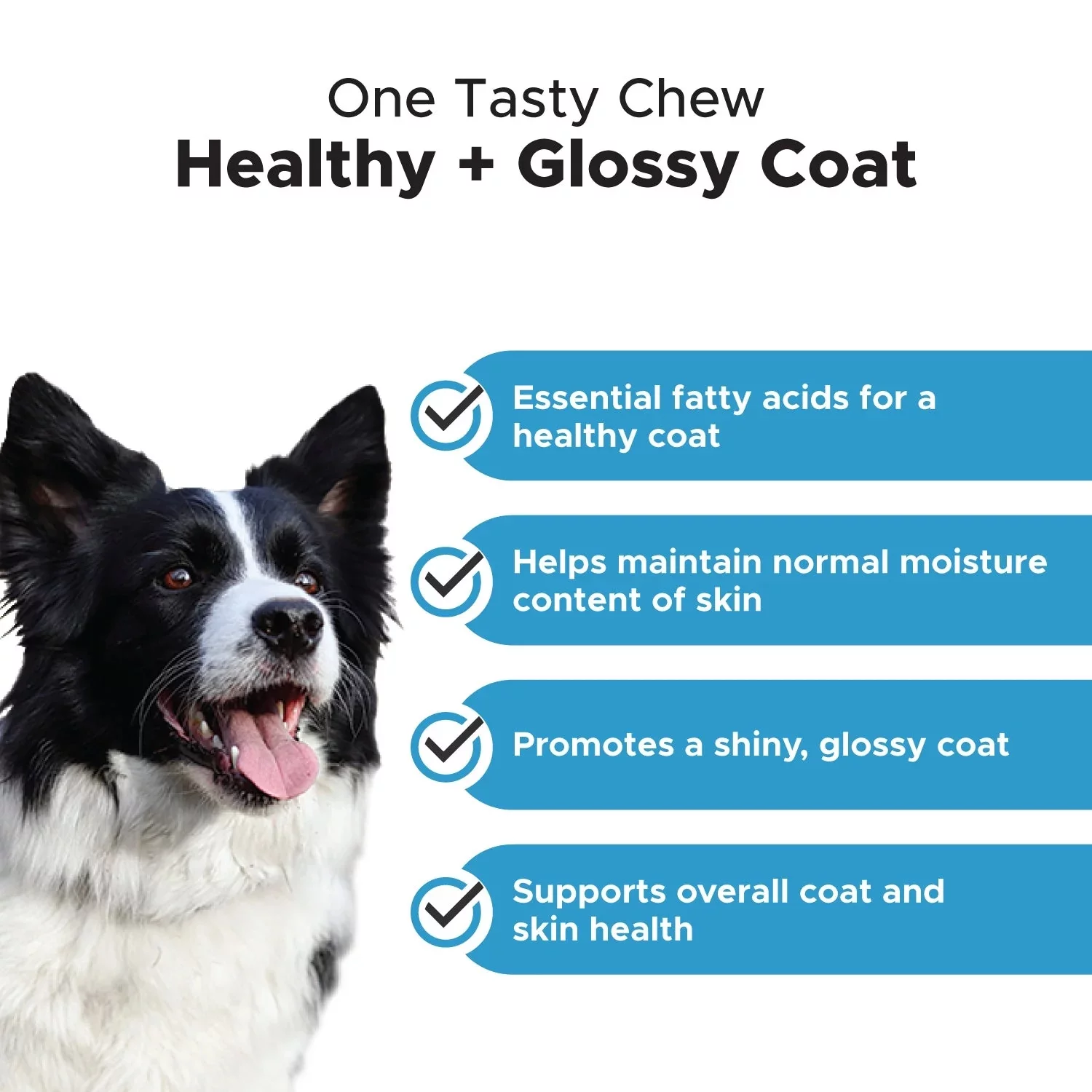 Pet Honesty Dog Skin Health Salmon Fish Oil Soft Chews, Salmon, 90 Ct