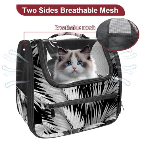 Scary Halloween (1) Traveler Backpack Pet Carriers for Cats and Dogs