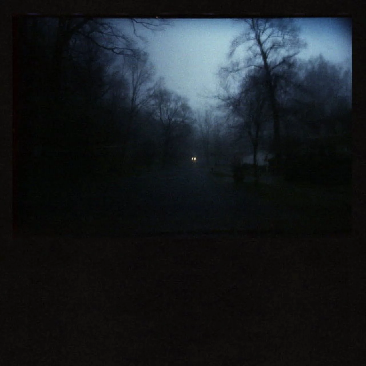 AMERICAN PLEASURE CLUB - Fucking Bliss - Vinyl