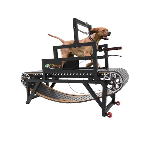 Dog Treadmill with Disc Brake, Resistance Adjustment, Paw-Friendly PE Slatmill & Speedometer - Heavy Duty Dog Treadmill for Large & Medium Dogs, Supports Up to 300 lbs, Easy to Move