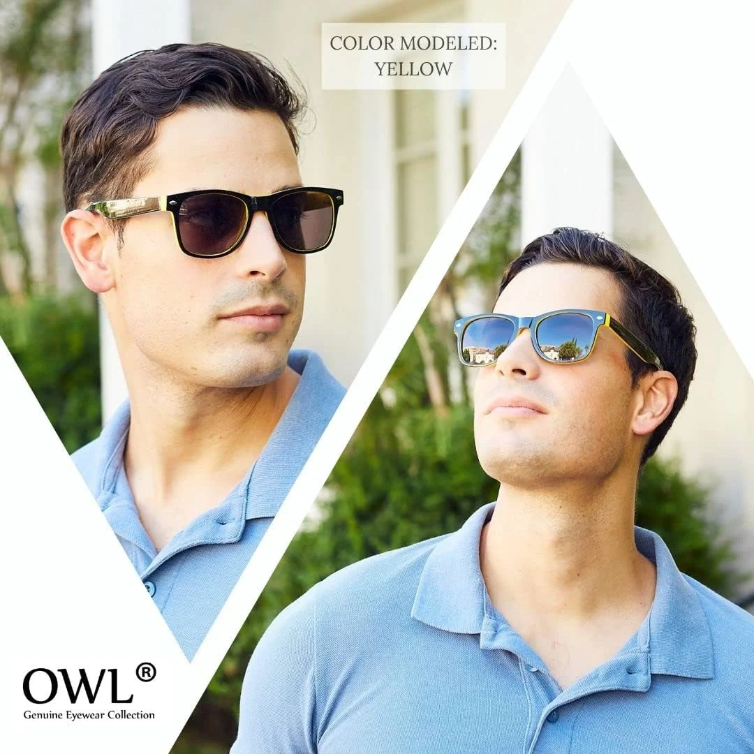 OWL Two Tone Sunglasses for Men Women UV400 Protection Smoke Lens Bulk Sun Glasses (10 Pack)
