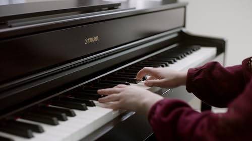 Yamaha Arius, 88-Key Weighted Action Digital Beginner and Intermediate Players, Dynamic Response, Grand Piano Sound, 3-Pedal Unit, Upright Design, Bench Included, Dark Rosewood (YDP105R)