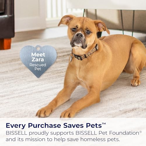 Bissell 2252 CleanView Swivel Upright Bagless Vacuum with Swivel Steering, Powerful Pet Hair Pick Up, Specialized Pet Tools, Large Capacity Dirt Tank, Easy Empty