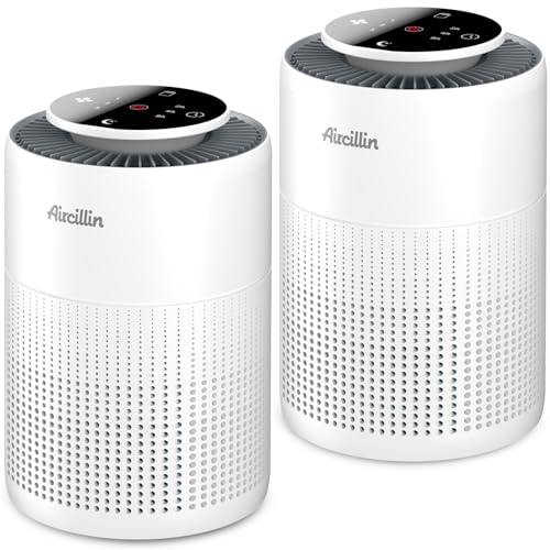 2 Pack Air Purifiers for Home Bedroom H13 True HEPA Air Filter Cleaner, Odor Eliminator, Remove Smoke Dust Pollen Pet Dander, Night Light For Home Living Room Dorm, Quiet 24dB Filtration System