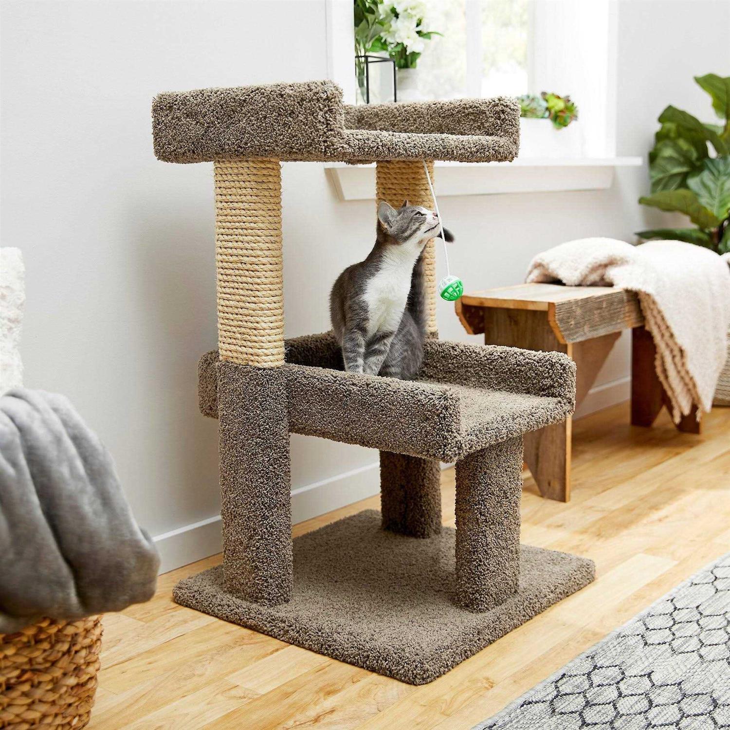 Frisco 32-in Real Carpet Wooden Cat Tree with Toy - Pet Supplies online store