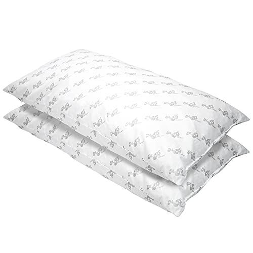 MyPillow Classic Bed Pillow Queen Combo (Set of 2)