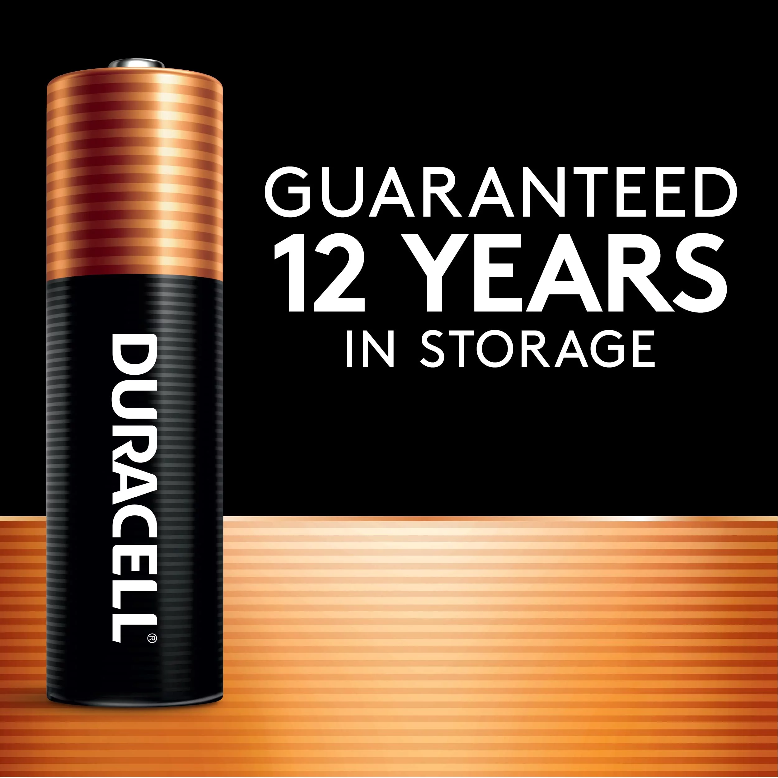 Duracell Coppertop AA Batteries with Power Boost (Pack of 2)