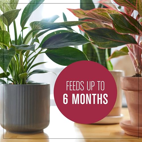 Miracle-Gro Houseplant Potting Mix - Fertilized Soil, Designed to be Less Prone to Gnats, 4 qt. (2-Pack)