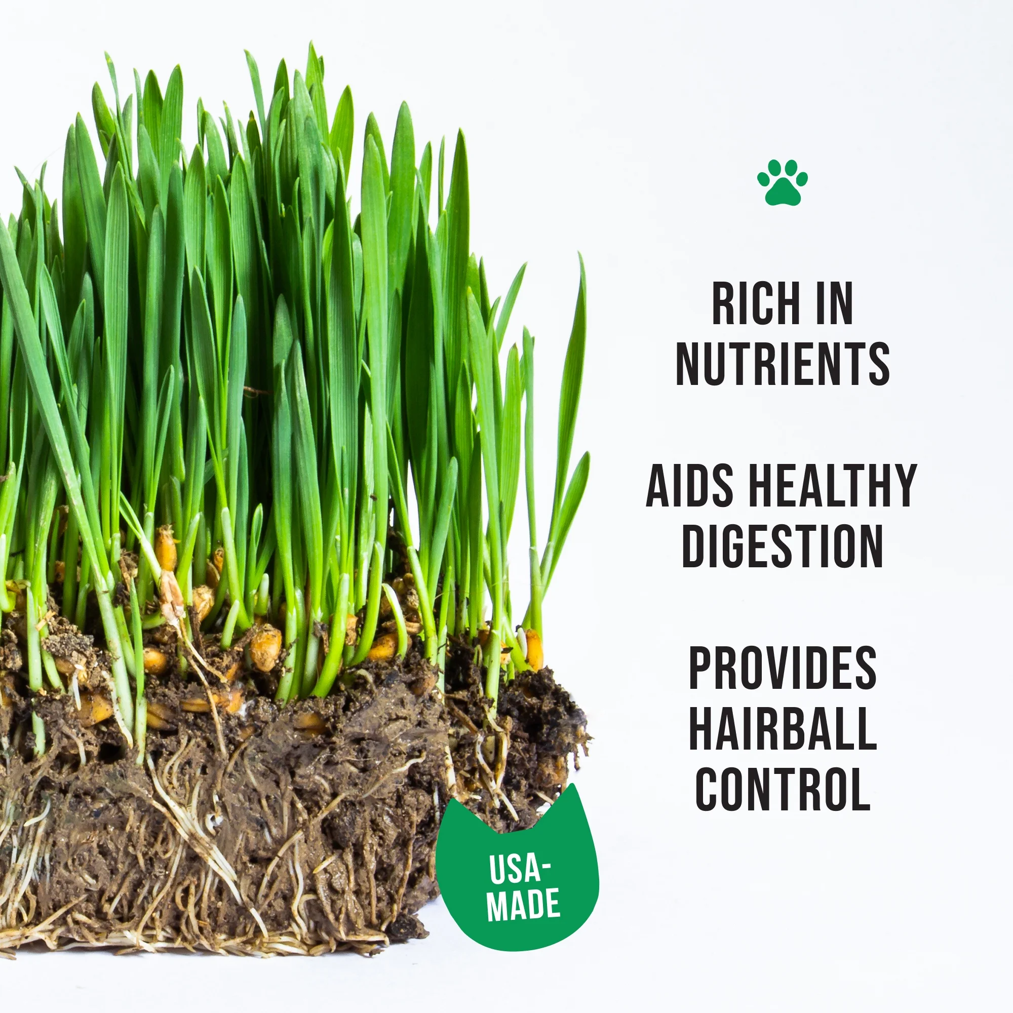 The Cat Ladies Organic Cat Grass Growing Kit with Black Cat Mug Planter